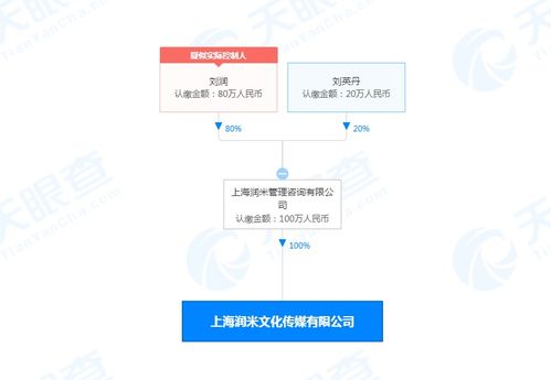 潤米咨詢戰略布局新篇章 設立文化傳媒公司，注冊資本100萬，深化社會經濟咨詢服務生態